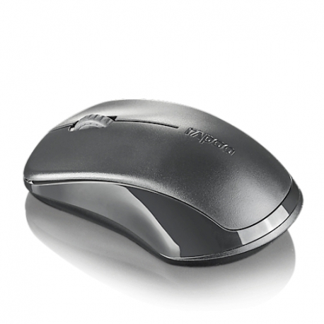 Rapoo 1620 Wireless Optical Mouse - Gray