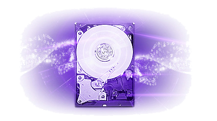 هارد 1 ترابایت وسترن دیجیتال بنفش - Western Digital Purple Surveillance Storage - 1TB